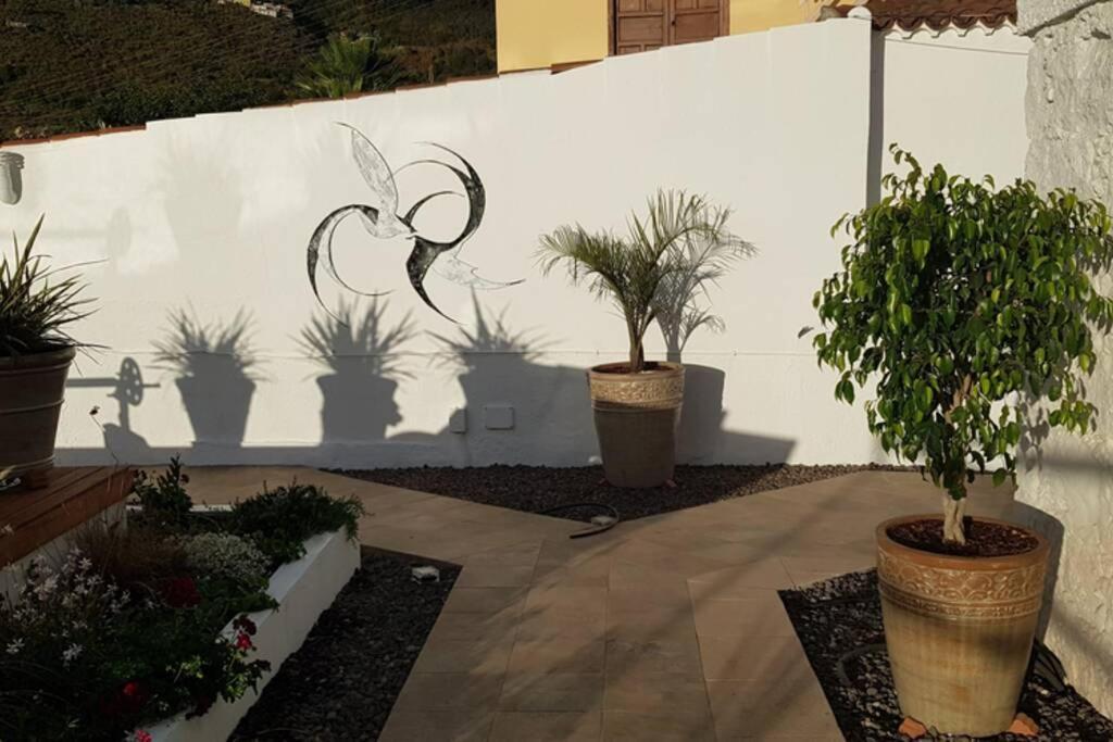 Casa Vina: A Spectacular Away From It All Holiday La Orotava Eksteriør billede