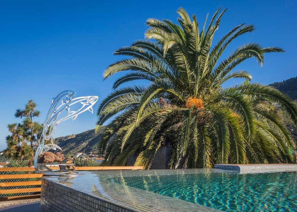 Casa Vina: A Spectacular Away From It All Holiday La Orotava Eksteriør billede