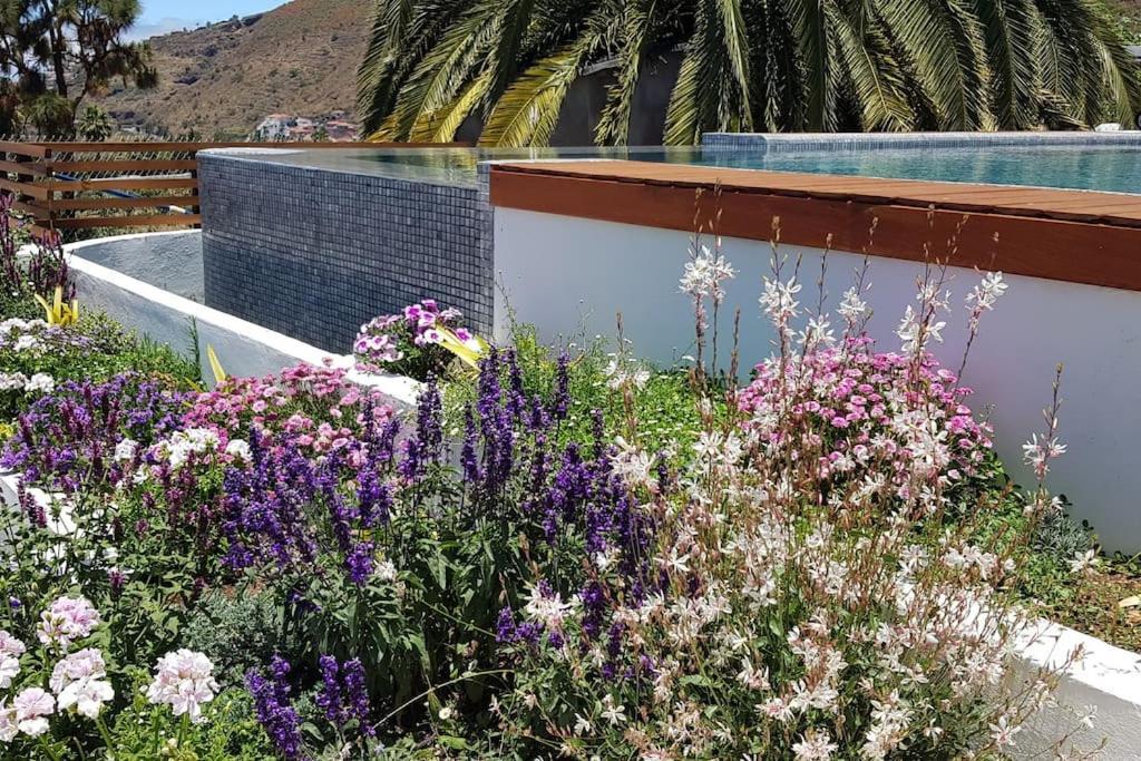 Casa Vina: A Spectacular Away From It All Holiday La Orotava Eksteriør billede